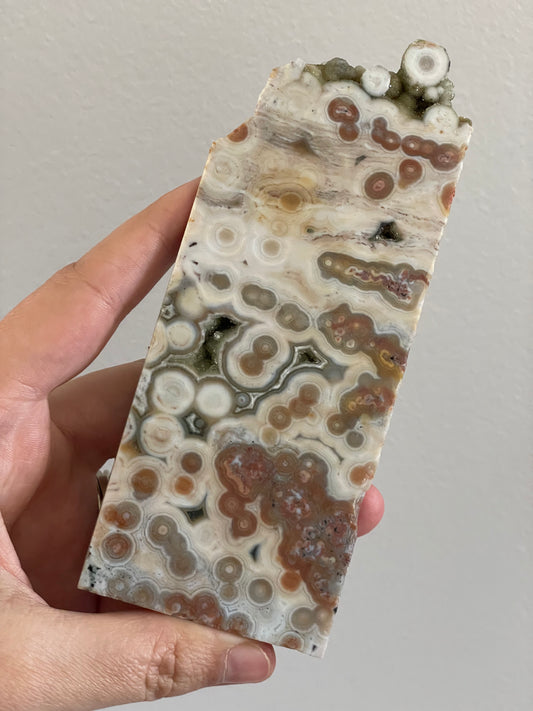 Orbicular Sea Jasper Polished Slab B