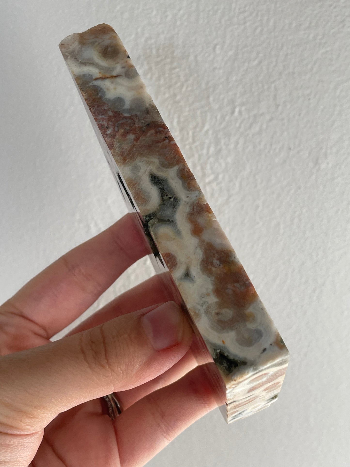 Orbicular Sea Jasper Polished Slab A