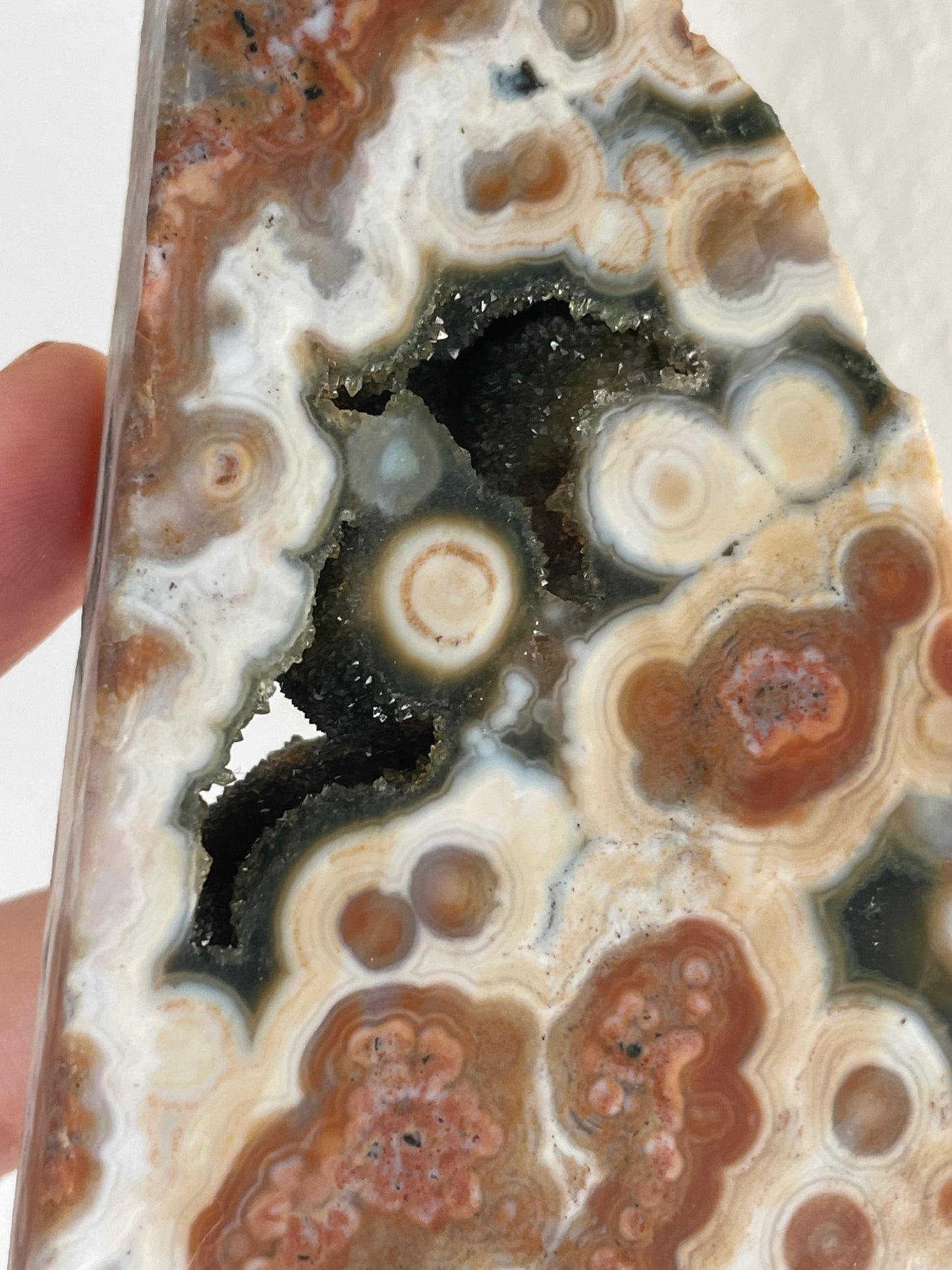 Orbicular Sea Jasper Polished Slab A