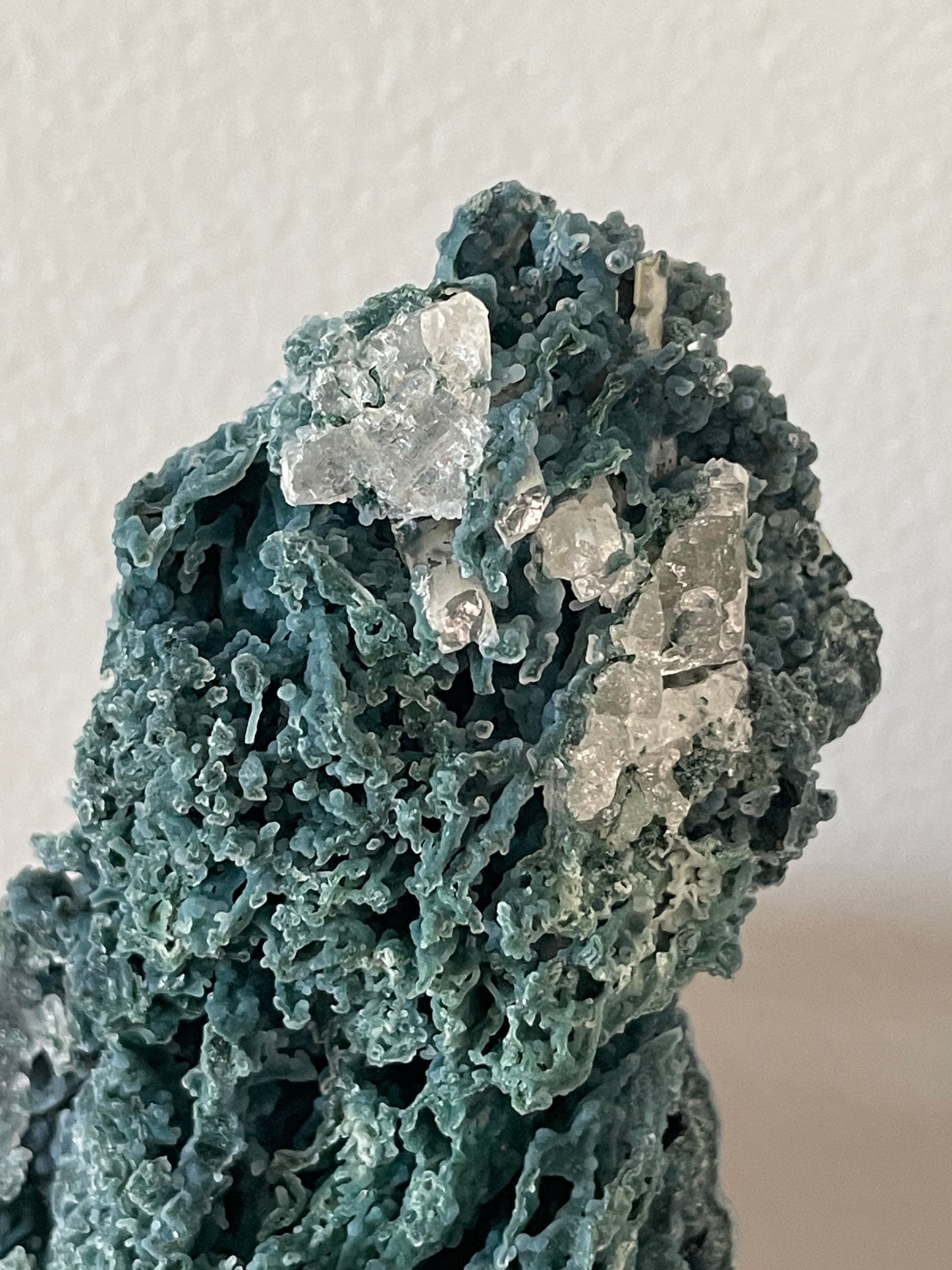 Blue Chalcedony Coral Matrix D