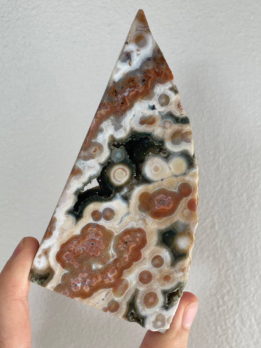 Orbicular Sea Jasper Polished Slab A